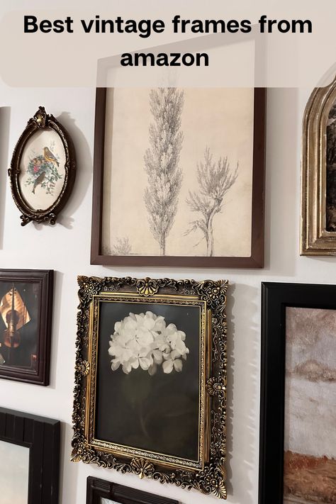 Antique Picture Frame Collage Wall, Ornate Picture Frames On The Wall, Vintage Gallery Wall Family Photos, Vintage Wall Gallery Ideas, Vintage Frame Collage, Antique Picture Frames On The Wall, Vintage Picture Frames On The Wall, Vintage Gallery Wall Ideas, Salon Suite Decor Ideas