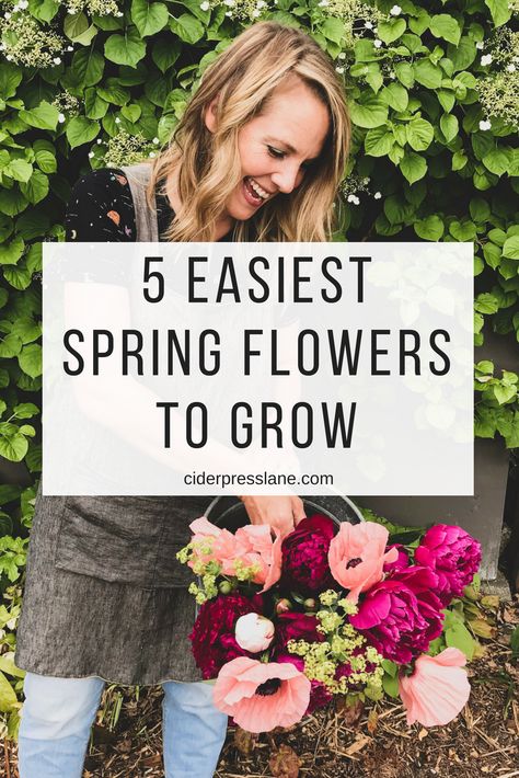 5 Easiest Spring Flowers to GROW! — ciderpress lane Flowers To Grow In A Greenhouse, How To Grow Daliah Flower, What To Plant In The Spring, Flower Garden Around House, Easy To Grow Flowers From Seeds, Flowers That Bloom In Spring, Flowers To Grow With Vegetables, Spring Flower Garden Ideas, How To Grow A Cut Flower Garden