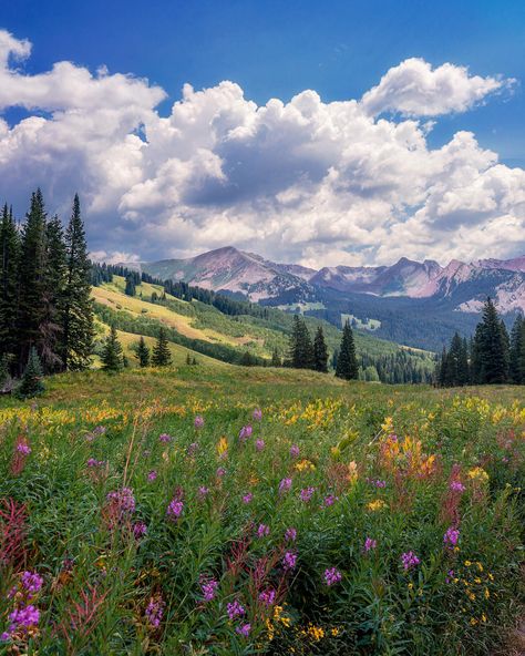 Spring Landscapes, Crested Butte Colorado, Pretty Landscapes, Crested Butte, National Photography, 영감을 주는 캐릭터, Nature Landscape, Nature Aesthetic, Pretty Places