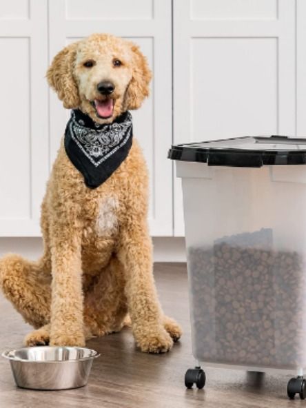 pets foods,pets food packaging,primal pet food,globel pet food,arden grange pet foods Pet Food Storage Ideas, Dog Food Storage Ideas, Food Containers Design, Room Wishlist, Dog Feeding Station, Pet Food Storage Container, Dog Food Storage Containers, Pet Food Container, Pet Storage