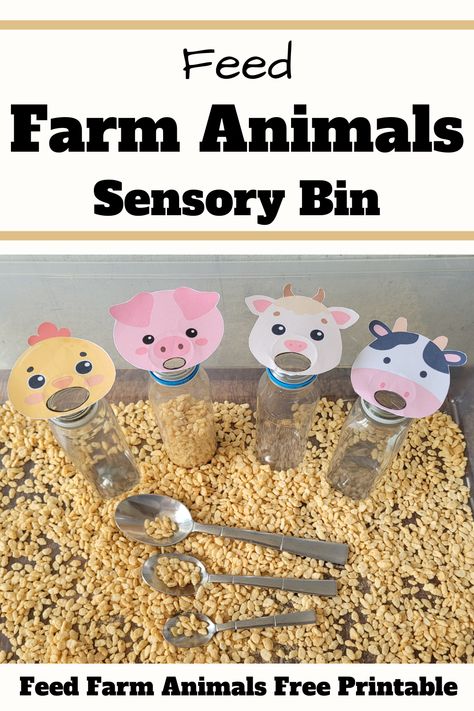 Farm Sensory Bin Ideas for Toddlers and Preschoolers Farm Sensory Activities Preschool, Preschool Farm Sensory Bin, Preschool Farm Sensory Activities, Farm Craft Activities, Feed The Farm Animals Sensory Bin, Farm Animal Daycare Theme, Learning Farm Animals, Farm Animal Sensory Bin Preschool, Farm Sensory Bin Toddlers