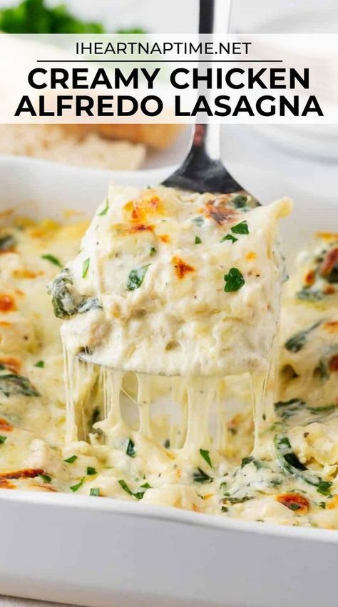 Chicken Alfredo Lasagna Recipe, Cream Spinach, Creamy Chicken Alfredo, Chicken Lasagne, White Chicken Lasagna, Chicken Lasagna Recipe, Creamy White Sauce, Chicken Alfredo Lasagna, Alfredo Lasagna