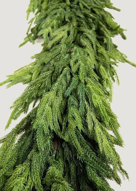 Amazon.com: Afloral Real Touch Deluxe Norfolk Pine Garland - 96" : Home & Kitchen Garland For Table, Norfolk Pine Garland, Hanging Plants Outdoor, Norfolk Pine, Faux Christmas, Winter Greenery, Christmas Garlands, Pine Garland, Artificial Plants Outdoor