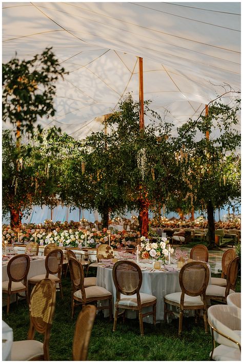 Whimsical Tent Wedding, Backyard Wedding With Tent, Tented Backyard Wedding, Summer Wedding Tent, Wedding Furniture Design, Big Tent Wedding, Garden Wedding Tent, Eclectic Garden Wedding, Tent Reception Decorations