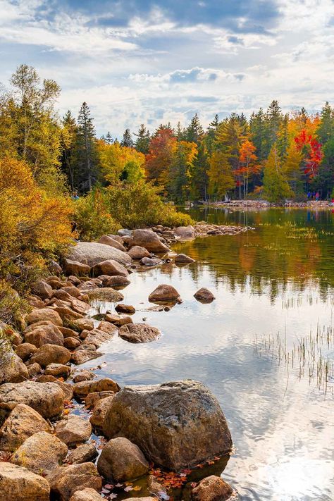 Planning to spend one day in Acadia National Park? Follow this ultimate one day Acadia National Park itinerary to see the best of the park in just one day! | Acadia National Park photography | Acadia National Park fall itinerary | Best hikes in Acadia National Park | Acadia National Park aesthetic | Things to do in Acadia National Park | Acadia National Park Beehive trail | Acadia National Park Maine hiking | Best places to stay near Acadia National Park | What to do in Acadia National Park Acadia National Park Photography, Acadia National Park Fall, Fall Itinerary, National Park Aesthetic, Arcadia National Park, Maine Hiking, Maine Trip, Vacay Ideas, National Park Itinerary