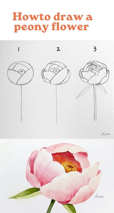 How To Draw Dahlia, Draw A Peony, Realistic Flower Drawing, Flowers For Beginners, Minimal Tattoo Designs, Ar Art, How To Draw Flowers, Peony Drawing, Flower Petal Art