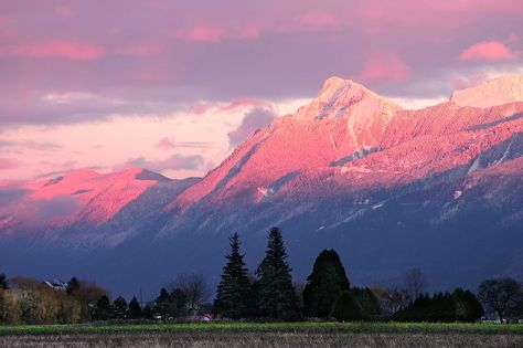 Pink Landscape, Lady Photo, Sunset Landscape Photography, Pink Mountains, Far Side, Pretty Landscapes, The Far Side, Pink Sunset, Pink Lady