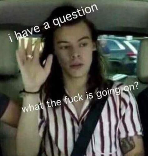 Gambar One Direction, Harry Styles Memes, Response Memes, Harry Styles Funny, Current Mood Meme, Memes Lol, One Direction Humor, Snapchat Funny, One Direction Memes