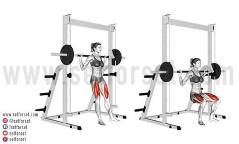 Free Weight Squats, Smith Machine Squat, Squats Muscles Worked, Smith Machine Workout, Hip Extension Exercise, Machine Exercises, Benefits Of Squats, Squat Form, Squat Variations