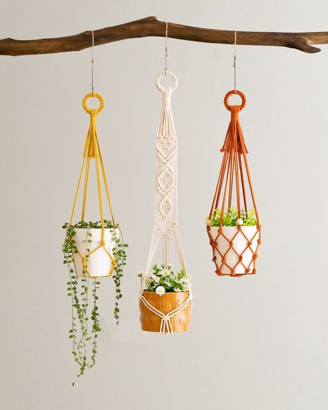 For all the plant lovers out there, our BeanDaikon Macrame Plant Hanger is a perfect piece to showcase your lovely plants and elevate your home decor. Our product is designed to help you save space while adding a fresh and stylish touch to your living space. Don't miss out—get yours now at https://beandaikon.com or click the link in our bio to visit our shop! #BeanDaikon #MacramePlantHanger #PlantLovers #AffordableLuxury #Houseplants #InteriorDesign #homedecor #handmademacrame Macrame Plant Holders, Plant Hanging, Macrame Planter, Support Pour Plante, Hanging Plant Holder, Support Plante, Christmas Organization, Macrame Plant Holder, Macrame Hanging