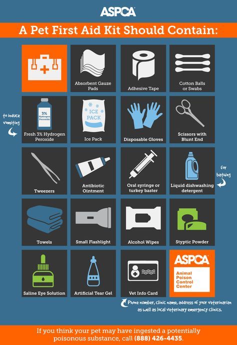 September is Disaster Preparedness Month. Make sure you have everything you need in case of a life-threatening emergency!   To help you create your home’s prep kit, the ASPCA Animal Poison Control Center (APCC) has provided the following checklist of items to include. Pet First Aid Kit, Pet Emergency Kit, Pet First Aid, Kat Diy, Emergency Preparedness Kit, Control Center, Disaster Preparedness, Dog Care Tips, Pet Hacks