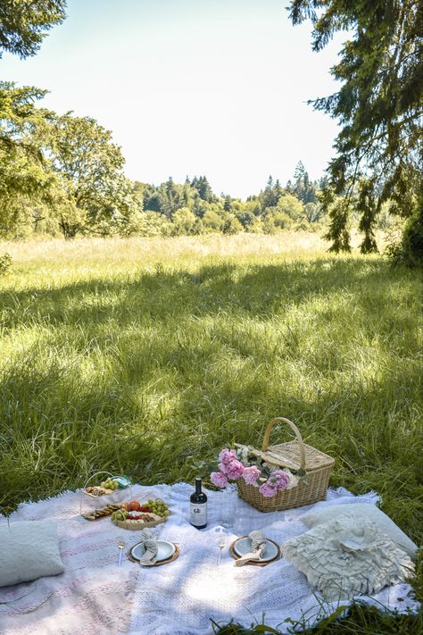 Bridal Picnic, Engagement Picnic, Picnic Engagement Photos, Picnic Inspo, Country Picnic, Picnic Engagement, Spring Picnic, Picnic Inspiration, Picnic Decorations