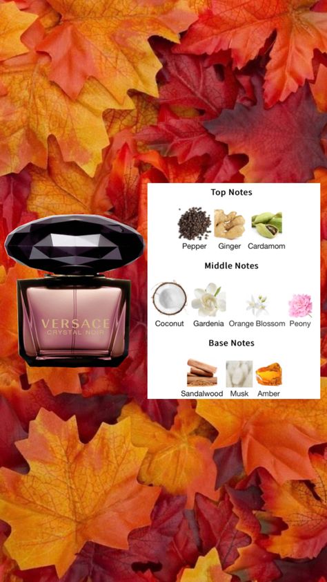 #perfume #beauty #fall #autumn #fallaesthetic #autumnaesthetic #autumnvibes #gilmoregirls Fall Fragrance, Perfume Scents, Autumn Aesthetic, Smell Good, Fall Vibes, Motion Design, Fall Autumn, Your Aesthetic, Connect With People