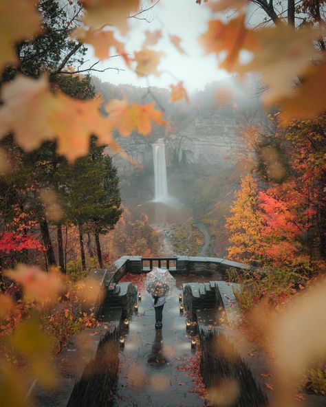 *** Under The Rain, Orange Leaves, Aesthetic Autumn, Quiet Place, Aesthetic Fall, Best Seasons, Autumn Beauty, Autumn Vibes, Fall Pictures