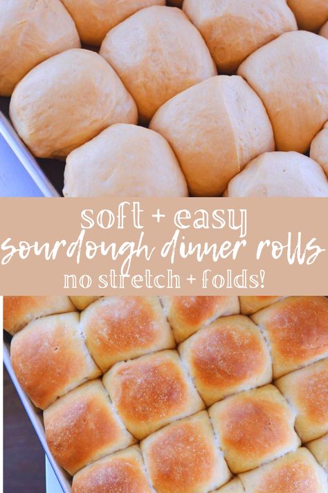 If you're needing an easy sourdough dinner rolls recipe to feed a crowd, you need this recipe! They are the softest buttery dinner rolls. A great beginner sourdough bread recipe that makes two dozen rolls and requires no stretch and folds. Great rolls for sliders, sandwiches, or a side #healthy #sourdough #easysourdoughrecipes #homemadedinnerrolls #healthyrecipes #homemadebread #nokneadbread #healthybread Vegan Sourdough Rolls, Easy Sourdough Dinner Rolls, Sourdough Dinner Rolls With Starter, Sourdough Sub Rolls, Quick Sourdough Rolls, Easy Sourdough Rolls, Sourdough Sandwich Rolls, Recipe Using Sourdough Bread, Beginner Sourdough Bread