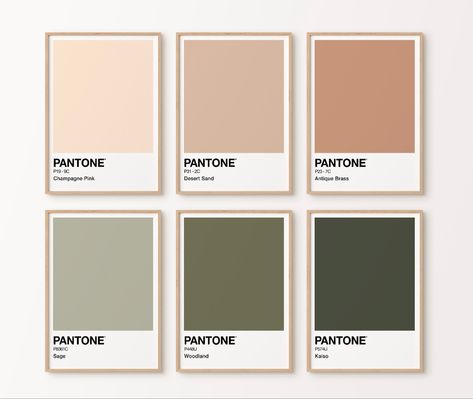 Beige Pantone, Pantone Print, Japandi Home Decor, Japandi Home, Pantone Palette, Small Bedrooms, House Color Palettes, Japandi Interior, Color Schemes Colour Palettes