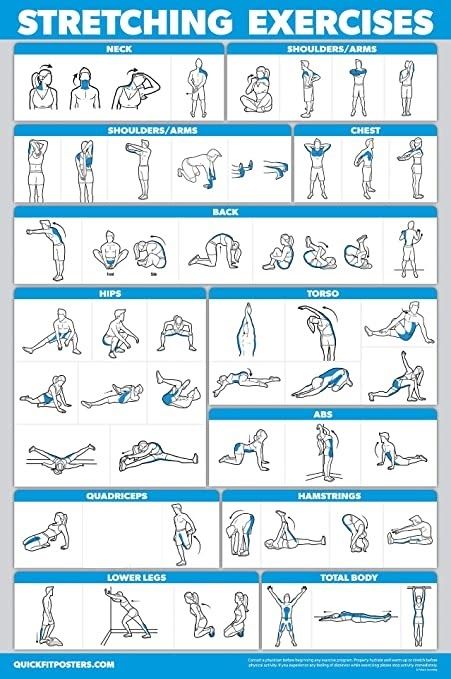 Exercise Poster, Exercise Chart, Stretch Routine, Gym Workout Chart, Workout Posters, Trening Fitness, Calisthenics Workout, Workout Chart, Body Workout Plan