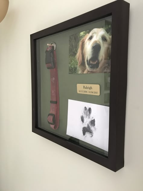 Dog frame. Collar framed from dog. Pawprint in shadow box. Dog Gift Ideas Diy, Pet Memorial Diy, Pet Memorial Ideas Dogs, Pet Portrait Tattoos, Dog Frame, Dog Shadow Box, Dead Animals, Dog Gift Ideas, Animal Tattoo Ideas