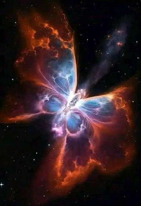 The James Webb Space Telescope (JWST) | The Butterfly Nebulae Captured by Hubble | Facebook Hubble Telescope Pictures, Butterfly Nebula, Planetary Nebula, Nebula Wallpaper, Telescope Images, Hubble Images, Hubble Telescope, Space Artwork, James Webb Space Telescope