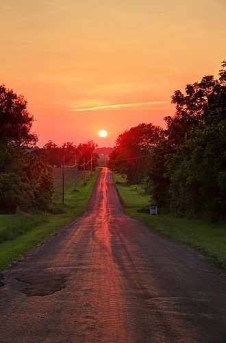 the road less traveled --- sorry for all the pins, but 5th grade is doing a poetry unit, and these will really help us visualize!! The Sun, Trees, Sun, Road