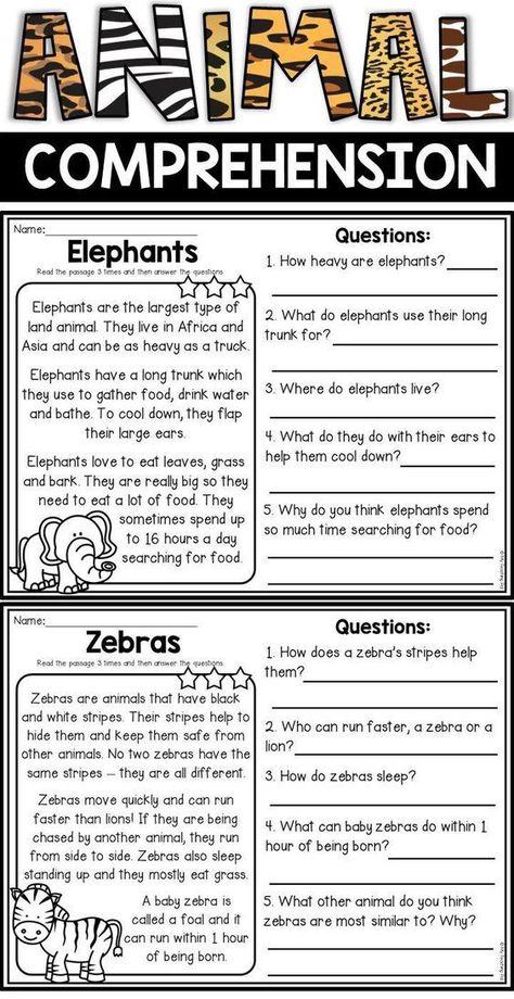 Grammar corner Animal Reading Comprehension Animal Reading, 2nd Grade Reading Comprehension, First Grade Reading Comprehension, Reading Comprehension For Kids, Teaching Reading Comprehension, Reading Comprehension Kindergarten, Reading Comprehension Lessons, 2nd Grade Reading, Reading Comprehension Activities