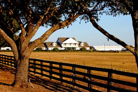 Southfork Ranch, Parker TX by Baltimore Jack, via Flickr Oklahoma Ranch House, Ranch House Texas, Ranch Scenery, Ranch Landscape, Texas Ranches, Country Ranch, Texas Ranch House, Texas House, Texas Ranch Homes