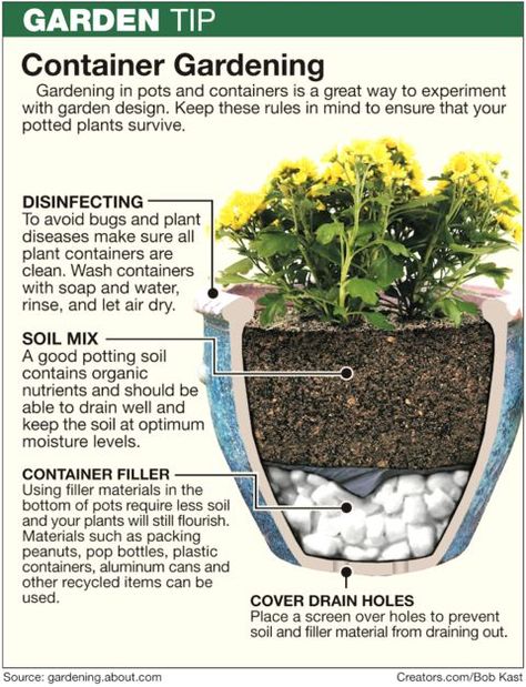 Flowers Garden, Taman Diy, Tanaman Indoor, Tanaman Pot, نباتات منزلية, Container Gardening Flowers, Kraf Diy, Garden Containers, Small Space Gardening