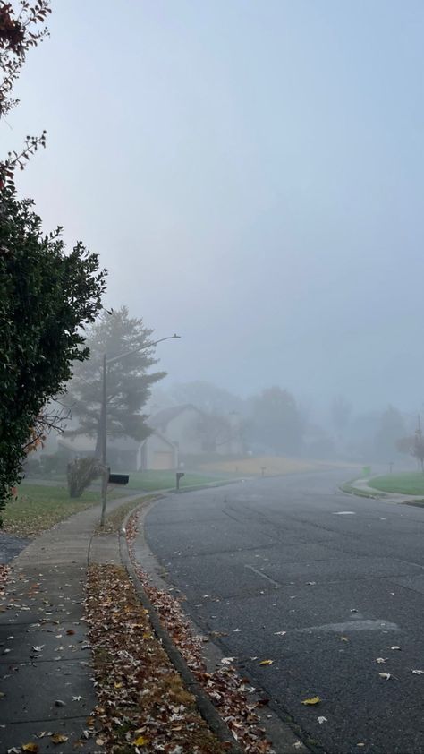 foggy, morning, fall, sidewalk, neighborhood, aesthetic, grey aesthetic, Nature, Bonito, Foggy Morning Wallpaper, Gloomy October Aesthetic, Cozy Winter Morning Aesthetic, Emely Core Aesthetics, Foggy Fall Morning, Early Winter Morning Aesthetic, School In Winter Aesthetic