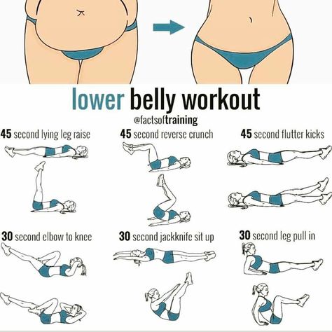 Membakar Lemak Perut, Lower Belly Workout, Quick Workout Routine, Workout Routines For Beginners, Month Workout, Workout For Flat Stomach, Workout Without Gym, Lower Belly, Creative Lifestyle