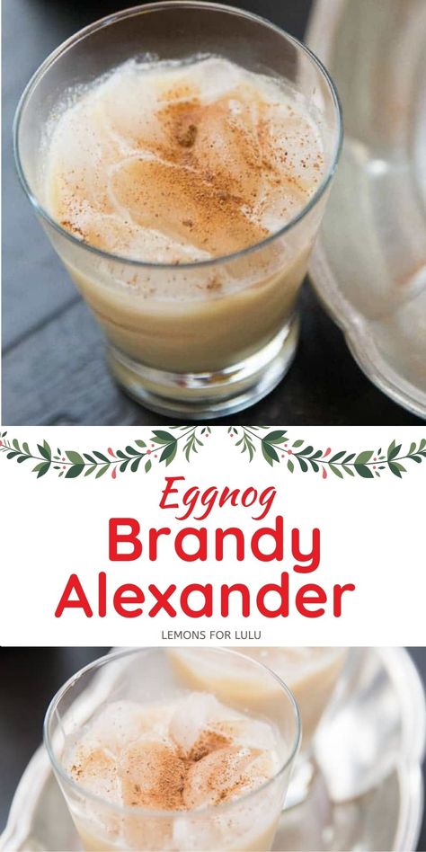 Time to change up your eggnog! This cocktail takes eggnog and Brandy Alexander and combines into one delicious holiday cocktail! You are going to love the flavors! Brandy Eggnog, Brandy Alexander Recipe, Brandy Recipe, Christmas Tree Brownies, Creamy Eggnog, Brandy Alexander, Brandy Cocktails, Best Christmas Recipes, Egg Nog