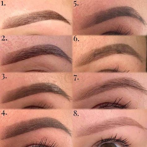 Day By Day Tattoo, Microblading Healing Process, Cosmetic Tattoo Eyebrows, Tattoo Healing Process, Eyebrow Before And After, Tattoo Healing, Ombre Brows, Ombre Eyebrows, Tattoo Shading