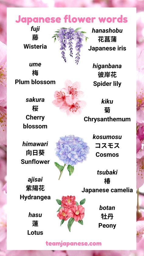 Many beautiful flowers have a special significance in Japanese culture! Learn popular Japanese flower words with this post. Visit Team Japanese to learn more about the culture and meaning behind these Japanese flower names :) Encouraging Japanese Words, Japanese Flowers Meanings, Cute Names In Japanese, Japanese Flower Name, I Love You Too In Japanese, Beautiful Japanese Words And Meanings, Beautiful Japanese Names And Meanings, Last Names Japanese, Names That Mean Flower