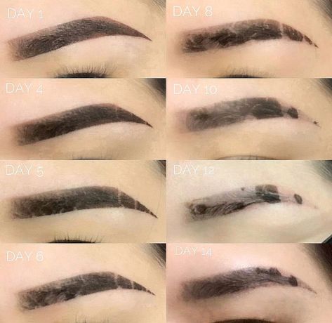 Brow Tattoo Healing Process, Pmu Brows Healing Process, Ombre Powder Brows Healing Process, Brow Healing Process, Ombré Powder Brows, Powder Brows Healing Process, Brow Business, Ombre Powder Brows, Tattoo Healing Process