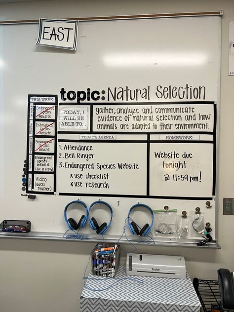 Teacher Board Ideas High Schools, Classroom Decor Whiteboard, Science Classroom Ideas Middle School, Low Stimulation Classroom Decor, Learning Objectives Display High School, Apush Classroom Decor, Homeroom Ideas Middle School, Board Configuration High School, Cute History Classroom