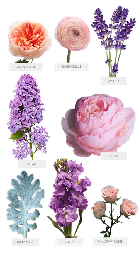 Flower Recipes Arrangement, Flower Recipe, Flower Recipes, Bouquet Recipe, Different Types Of Flowers, Desired Reality, Purple Wedding Flowers, Flower Guide, Church Flowers