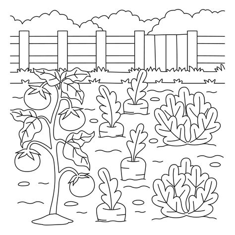 Lettuce Farm, Nursery Drawings, Letter A Coloring Pages, Vegetable Farm, Vegetable Coloring Pages, Farm Coloring Pages, Garden Coloring, Garden Coloring Pages, Vegetable Farming