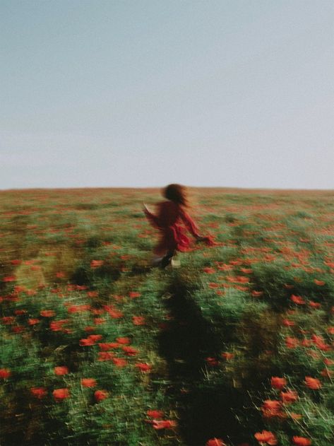 Blurred Photo of Woman in Red Running Through Poppy Field · Free Stock Photo Running Through A Field, Wit And Delight, Blur Photo, Motion Blur, Poppy Field, Cinematic Photography, Photos Of Women, 인물 사진, Pics Art