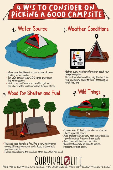 Do you know how to find a good campsite? Get your camping survival skills up by learning these 4Ws! #campsite #campingtips #camping #survivaltips #survival #survivallife Camping Survival Tips, How To Survive In The Wilderness, Printable Survival Guide, Survivor Tips, Kids Survival Skills, Nomadic Life, Outdoor Skills, Camping Gear Survival, Canoe Camping