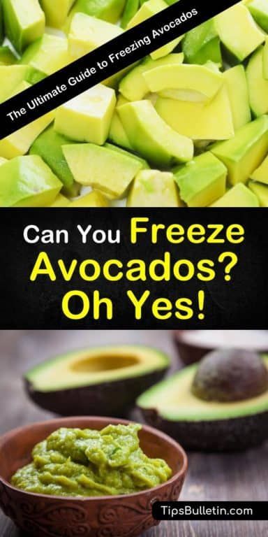 Can I Freeze Avocado, How To Freeze Avocado How To Store, Can You Freeze Avacodos, Freezing Avocados How To, What To Do With Ripe Avocados, Freezing Avacados, Freezing Guacamole, Avocado Freezing, Storing Avocado