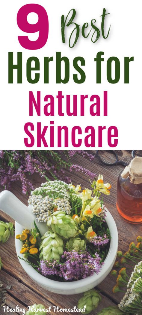 Homemade Body Products, Homemade Skincare Products, Best Herbs To Grow, Homemade Skincare, Natural Skincare Recipes, Herbal Skin Care, Herbal Salves, Massage Oils, Herbal Recipes