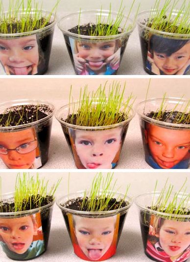 Growing Hair! Too funny!- What a fun project! Loved it when my child brought this home from school! We kept it for months!! Spring Garden Activities For Preschool, Vetenskapliga Experiment, Kindergarten Rocks, Growing Hair, Spring Preschool, Baked Spaghetti, Kindergarten Science, Preschool Science, Spring Activities