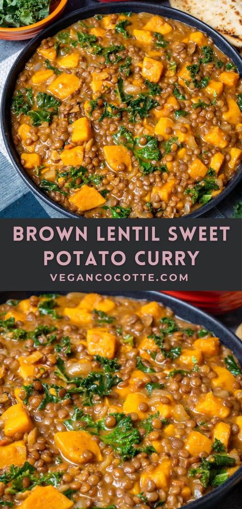 Potato Lentil Recipes, Sweet Potato Kale Lentil Soup, Tofu Lentil Curry, Sweet Potato And Lentil Stew, Brown Lentils Curry, Red Curry Lentils With Sweet Potatoes And Spinach, Vegan Sweet Potato Crockpot Recipes, Lentil Sweet Potato Bowl, Sweet Potato Kale Curry