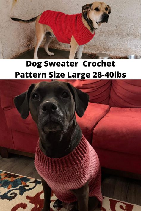 Large Dog Sweater Crochet Pattern - Crochet It Creations Big Dog Sweaters, Dog Sweater Crochet, Crochet Dog Sweater Free Pattern, Dog Jacket Patterns, Knitted Dog Sweater Pattern, Large Dog Sweaters, Crochet Dog Clothes, Dog Coat Pattern, Dog Sweater Crochet Pattern