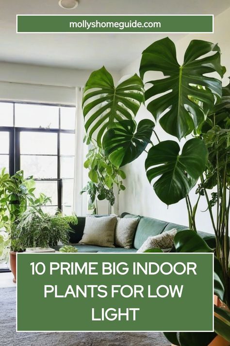 Looking to brighten up your space with indoor plants but lack natural light? Check out the best big indoor plants for low light! These houseplants thrive in darker environments and require minimal maintenance. Create a green oasis in your home with low light houseplants that are easy to care for and safe for pets. Discover air-purifying plants that will freshen up the air while adding a touch of nature to your decor. Humidity Plants Houseplant, Long Plants Indoor, Hardy Indoor Plants, Plants For Low Light Indoors, Large Indoor Plants Low Light, Apartment Plants Aesthetic, Big Houseplants, Big Plants Indoor Living Rooms, Low Maintenance Plants Indoor