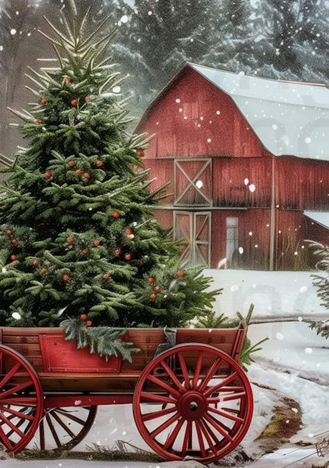 Christmas Scenes Photography, Farmhouse Christmas Phone Wallpaper, Christmas Barn Photo Session, Christmas Barn Decorations, Christmas Scenery Pictures Holidays, Christmas Tree Farm Aesthetic, Country Christmas Aesthetic, Winter Scenes Wonderland, Natal Country