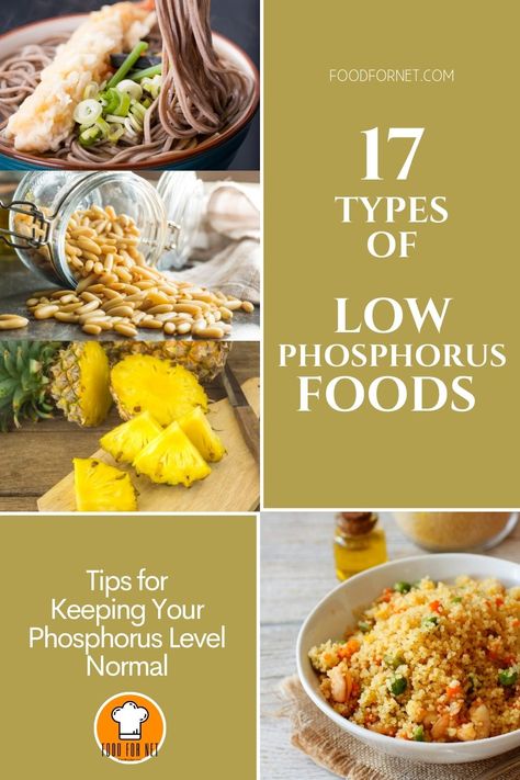 If you’re looking to lower your phosphorus level then perhaps start replanning your diet to include these 17 low phosphorus foods. See also some tips on how you can keep your phosphorus level normal. #phosphorus #diet #bestfood #nutrition #health Low Phosphorus Foods, Renal Diet Food List, Renal Friendly Recipes, Low Purine Diet, Renal Recipes, Ckd Recipes, Kidney Diet Recipes, Low Potassium Recipes, Low Potassium Diet