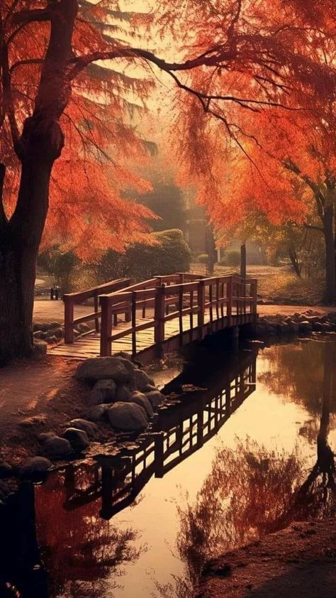 Landscape Phone Wallpaper, Phone Wallpaper Nature, Wallpaper Aesthetic Wallpaper, Iphone Wallpaper Fall, Dark Autumn, Trending Pins, Awesome Pictures, Autumn Scenes, Autumn Scenery