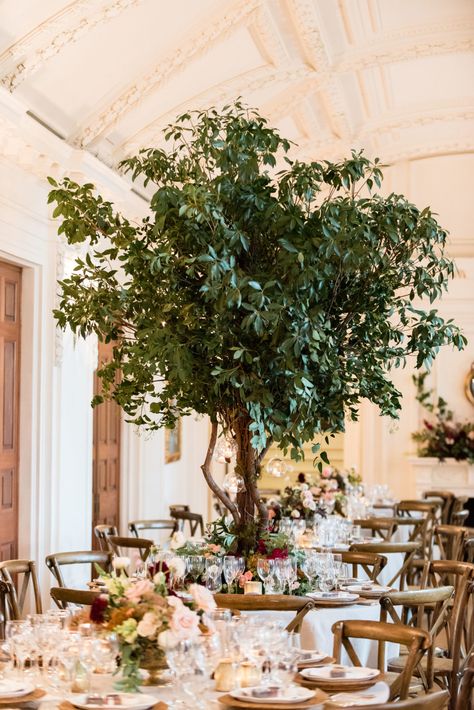 Dramatic Tree Centerpieces at DAR in Washington, DC - Sweet Root Village Blog Tall Tree Centerpiece, Tree Event Decor, Wedding Tree Centerpieces, Tree Centerpieces Wedding, Tree Centrepiece Wedding, Yellowstone Party, Tree Centrepiece, Tree Branch Centerpieces, Centrepiece Wedding