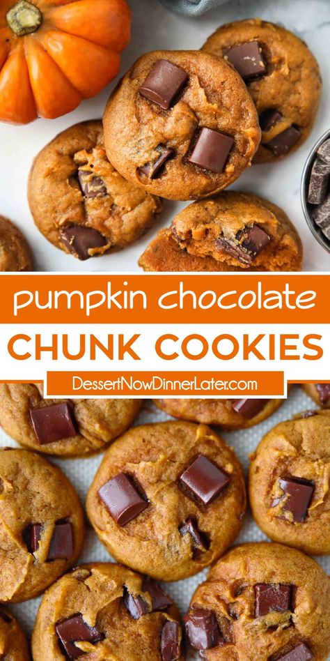 Pumpkin Chocolate Chip Cookies Easy, Soft Pumpkin Chocolate Chip Cookies, Pumpkin Cookies Easy, Pumpkin Cookie Recipe, Pumpkin Chocolate Chip, Pumpkin Chocolate Chip Cookies, Cookies Chocolate, Pumpkin Chocolate Chips, Chocolate Chunk