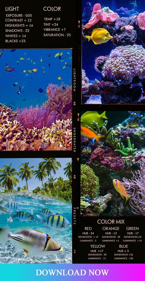 Aquarium Proposal, Fast Photography, Beginner Photography Camera, Editing Presets, Foto Bawah Air, Photo Tricks, Bawah Air, Beginner Photography, Phone Photo